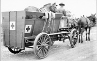 Horse ambulance.