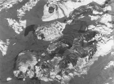 Image of MALMEDY MASSACRE, 1944 American soldiers recovering the