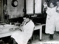 Veterinarians doing testing in laboratory
