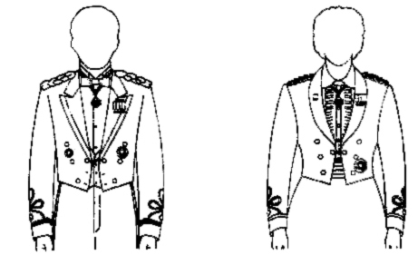 Image showing how to wear the medallion.