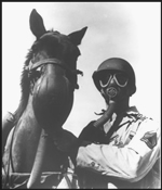 WW1 Working Horse and Soldier wearing their pro-masks